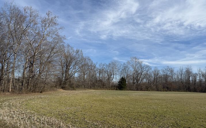 Pictures of Land property located at Glen Haris Rd., Adamsville, TN 38310 for sales - image #1