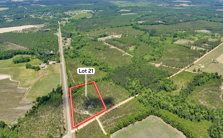 Pictures of Land property located at 21 Hwy 126, Cadwell, GA 31009 for sales - image #1