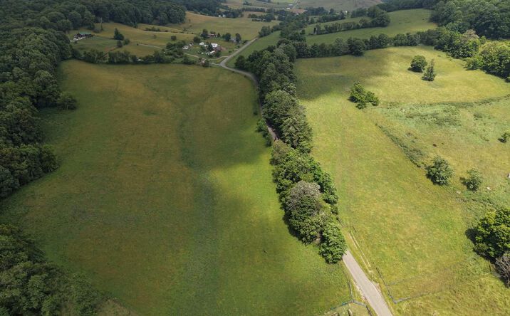 Pictures of Land, Multifamily property located at 1044 Mitchell Valley Road, Marion, VA 24354 for sales - image #1