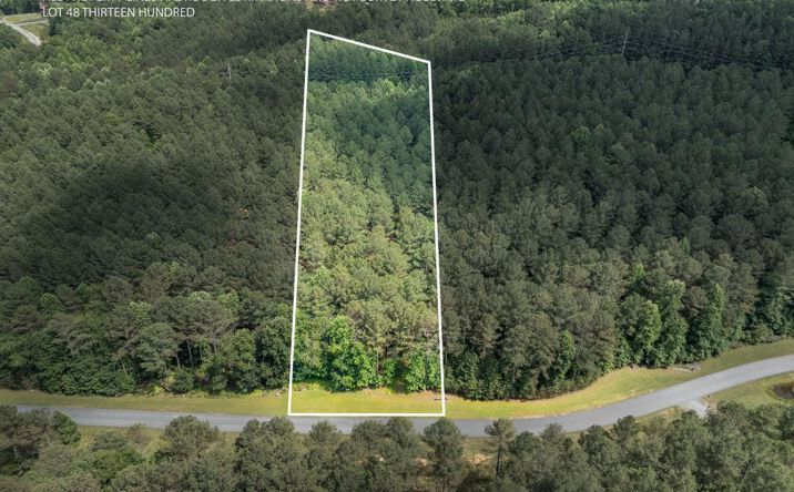 Lot 48 Thirteen Hundred, Blairsville