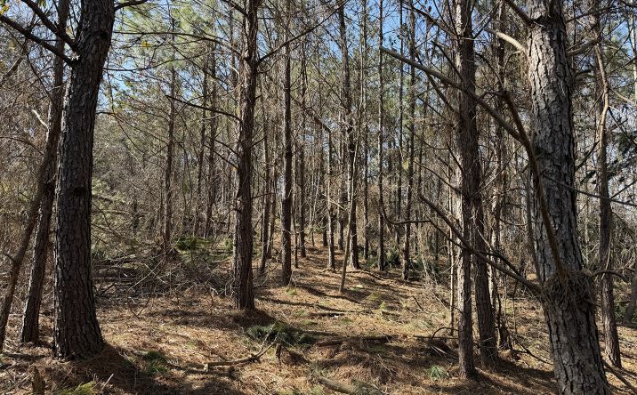 Pictures of Land property located at Pyburn Dr. Tract 3, Savannah, TN 38372 for sales - image #1
