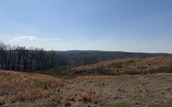 Pictures of Land property located at Saltillo Rd., Morris Chapel, TN 38361 for sales - image #1