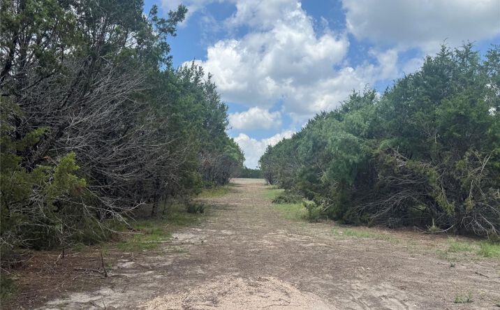 Pictures of Land property located at Lot 52 Long View Dr, Lampasas, TX 76550 for sales - image #1