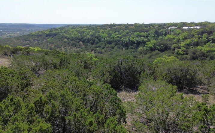 Pictures of Land property located at Lot 53 Balcones Ridge Way, Bertram, TX 78605 for sales - image #1