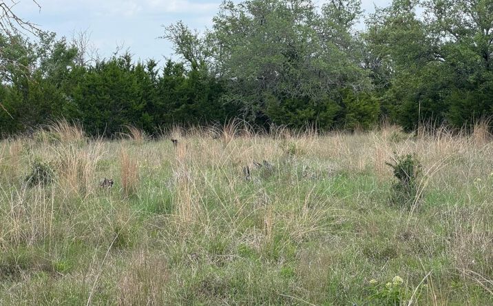 Lot 41 Maverick Way, Briggs