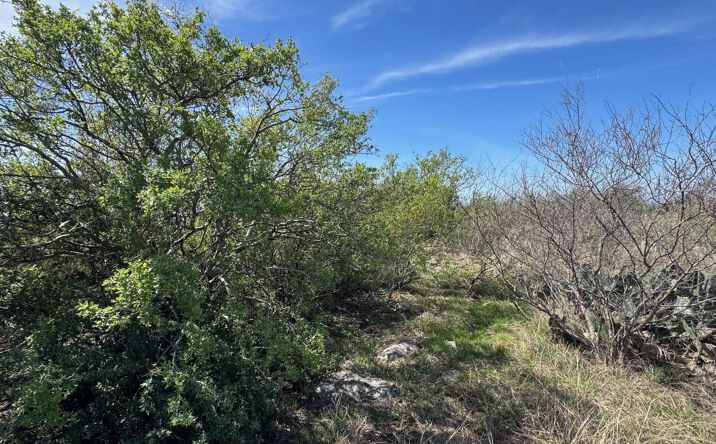 Pictures of Land property located at Lot 158 Sierra Dr, Bertram, TX 78605 for sales - image #1