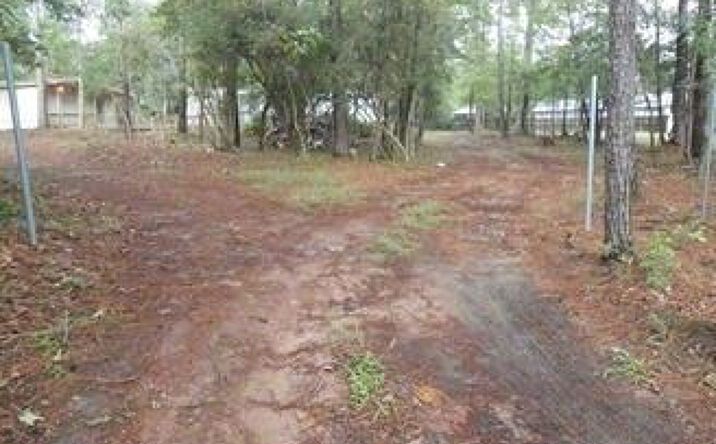 Pictures of Land property located at 40311 FM 149 Rd, Magnolia, TX 77354 for sales - image #1