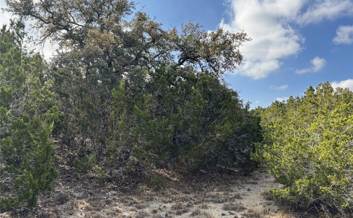 Pictures of Land property located at Tract 9 Burnet Oaks Dr, Burnet, TX 78611 for sales - image #1