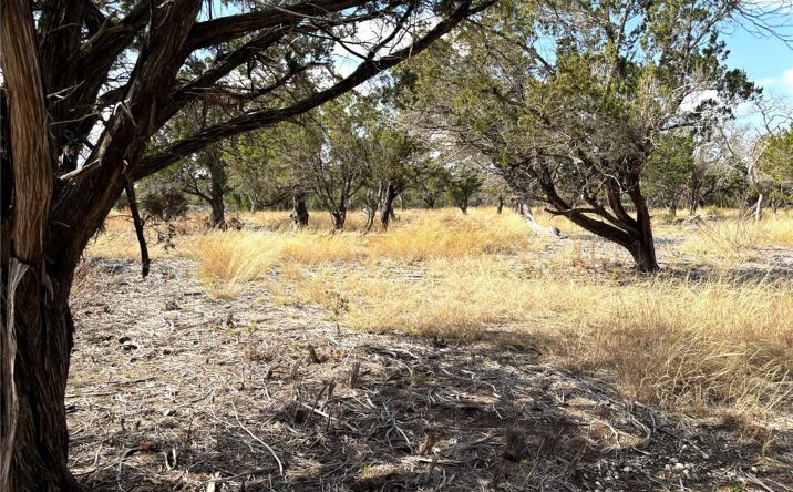 Pictures of Land property located at Tract 7 Burnet Oaks, Burnet, TX 78611 for sales - image #1