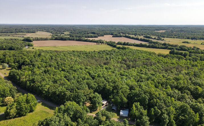 Pictures of Land property located at Carter Rd., Saltillo, TN 38370 for sales - image #1