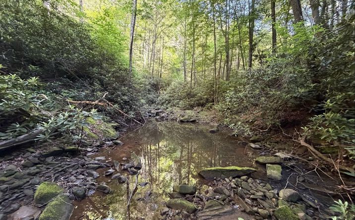 Pictures of Land property located at White Oak Creek Rd, Pound, VA 24279 for sales - image #1