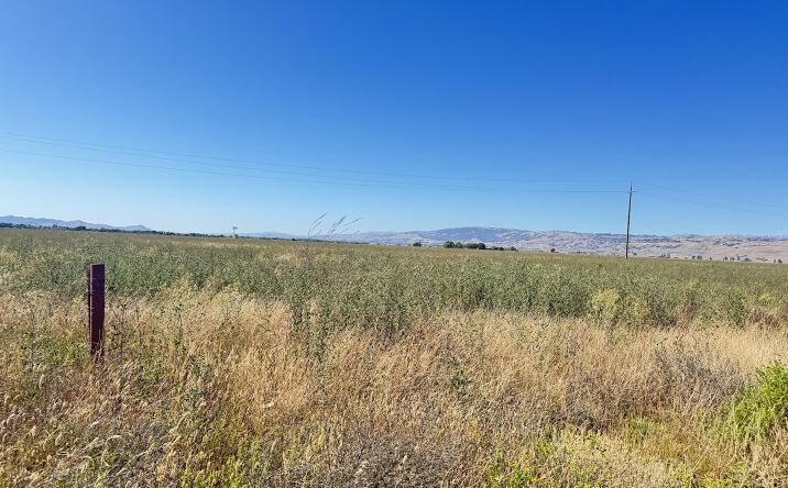 Pictures of Land, Special Purpose property located at BOLSA RD, HOLLISTER, CA 95023 for sales - image #1