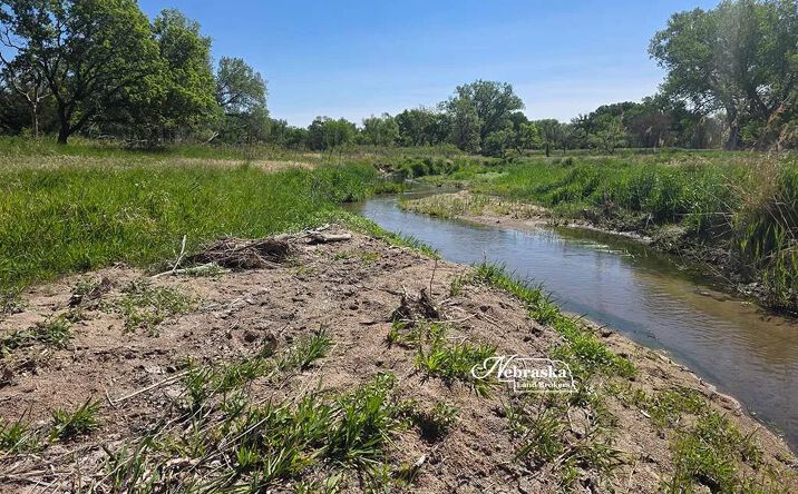 Pictures of Land property located at 40030 Road 398, 77106, NE 69020 for sales - image #1