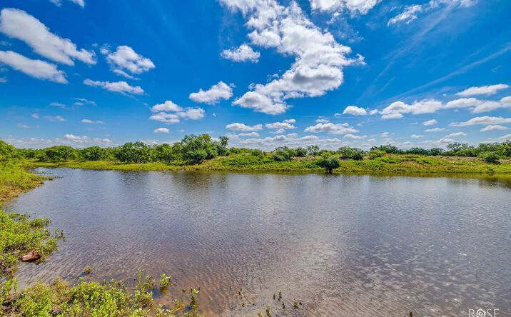 1302 County Road 459, 123787