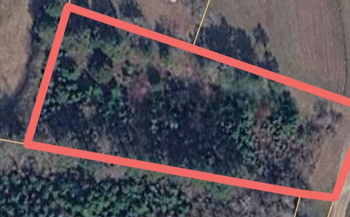 Pictures of Land property located at 22573 U.S. 43, Berry, AL 35546 for sales - image #1