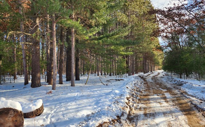 Pictures of Land property located at Lot 3 Meiller Road, Montello, WI 53949 for sales - image #1