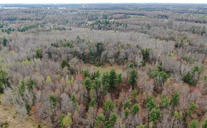 Pictures of Land property located at 120 AC W Oakwood Dr, Mosinee, WI 54455 for sales - image #1