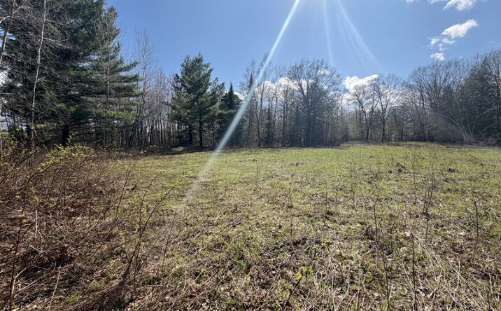 Pictures of Land property located at 40 W Oakwood Dr, Mosinee, WI 54455 for sales - image #1