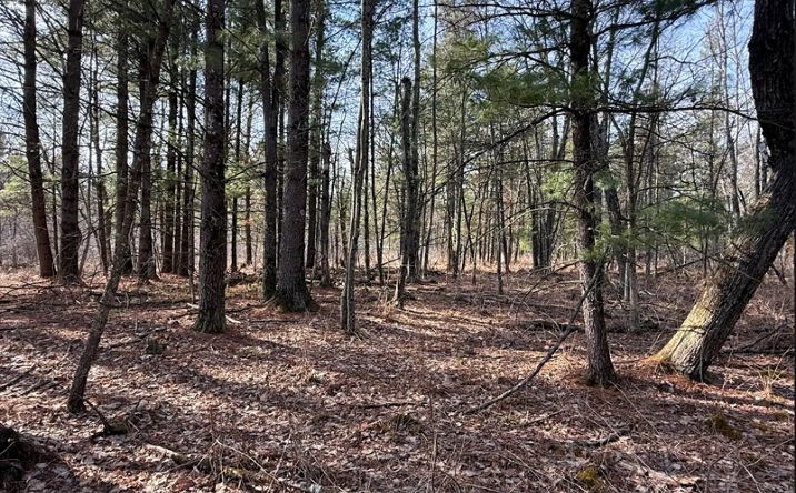 Pictures of Land property located at Hawk Rd, Fort McCoy, WI 54656 for sales - image #1