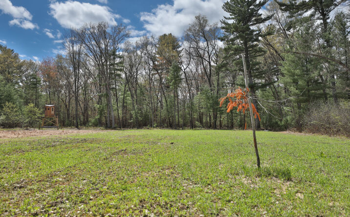 Pictures of Land property located at Lot 2 Grayling Avenue, Wyeville, WI 54660 for sales - image #1