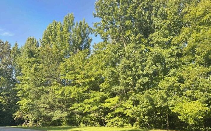 Pictures of Land property located at Jenny Lane, Danville, VA 24541 for sales - image #1