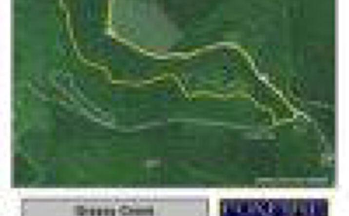 Pictures of Land property located at Grassy Creek Road, Nettie, WV 26676 for sales - image #1