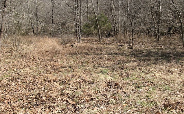 Pictures of Land property located at 000 Superior Road, Saint Robert, MO 65584 for sales - image #1