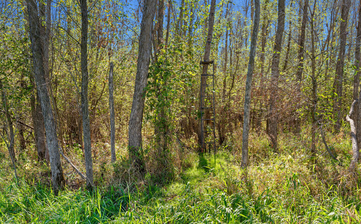 Pictures of Land property located at S2986 Barth Rd, Fountain City, WI 54629 for sales - image #1