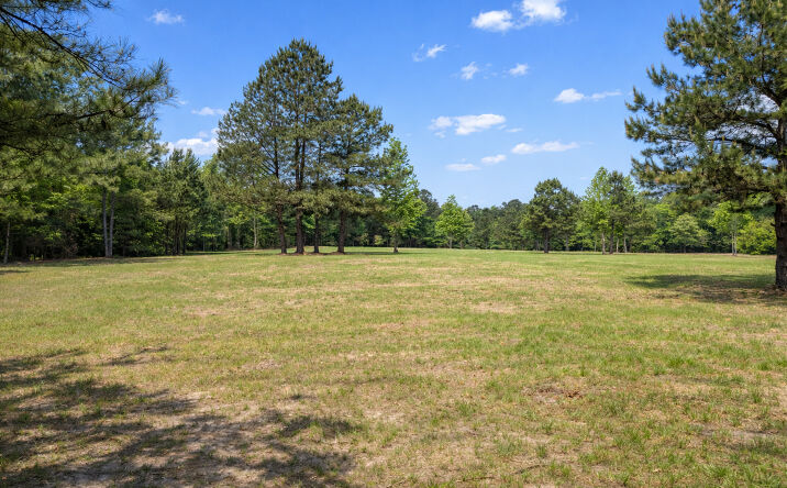 Pictures of Land property located at 4552 Van Highway, Tyler, TX 75704 for sales - image #1