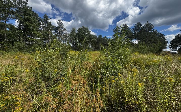 Pictures of Land property located at 80 Ac 13th Ave S, Arkdale, WI 54613 for sales - image #1