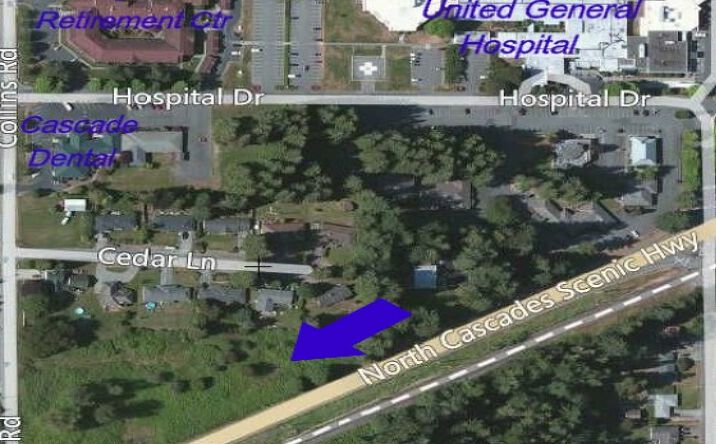 Pictures of Land property located at NE corner Collins Rd & SR 20, Sedro-Woolley, WA 98284 for comps - image #1