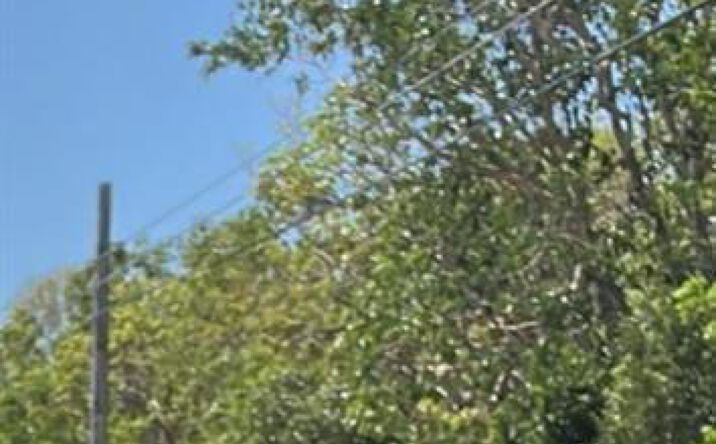 Pictures of Land property located at 167th & Card Sound Road, Homestead, FL 33035 for sales - image #1