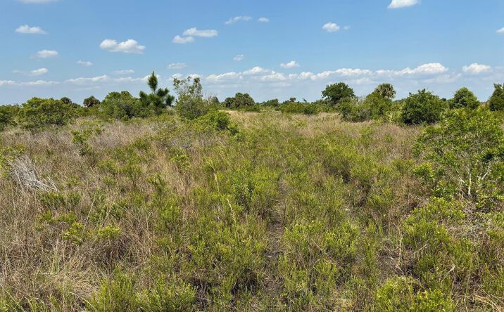 Pictures of Land, Special Purpose property located at 0 NW 320th Street, Okeechobee, FL 34972 for sales - image #1