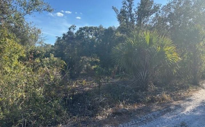 Pictures of Land, Special Purpose property located at 0 NW 296th, Okeechobee, FL 34972 for sales - image #1