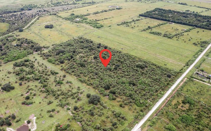 Pictures of Land property located at 2095 Cabbage Drive, Okeechobee, FL 34974 for sales - image #1