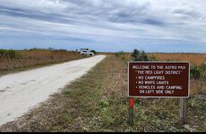 33570142