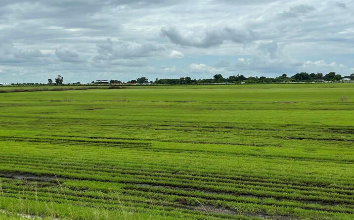 Pictures of Land property located at 400 State Road 80, Belle Glade, FL 33430 for sales - image #1