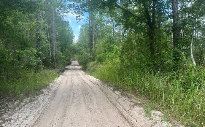 Pictures of Land, Special Purpose property located at 0 Water Road, Clermont, FL 33868 for sales - image #1