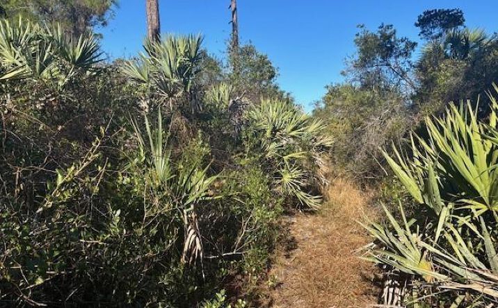 Pictures of Land, Special Purpose property located at 42260 93rd Avenue, Vero Beach, FL 32966 for sales - image #1