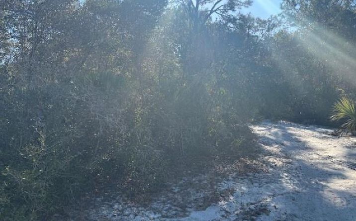 Pictures of Land, Special Purpose property located at 2280 93rd Court, Vero Beach, FL 32966 for sales - image #1