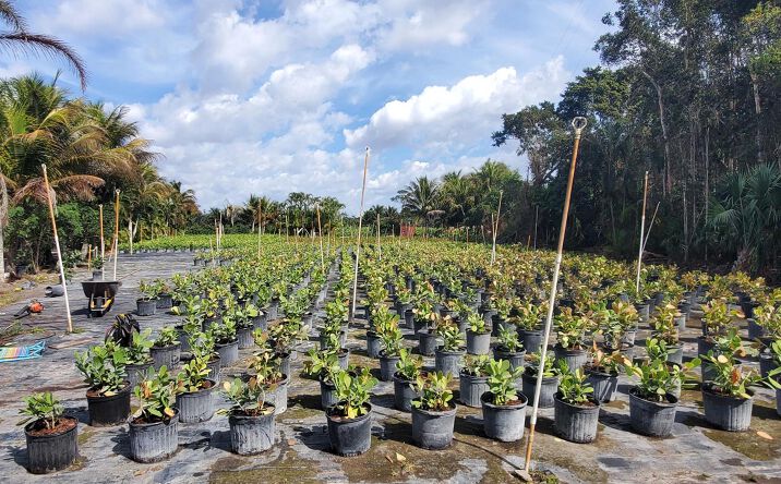 Pictures of Business for Sale property located at 10655 61 Street S, Wellington, FL 33449 for sales - image #1