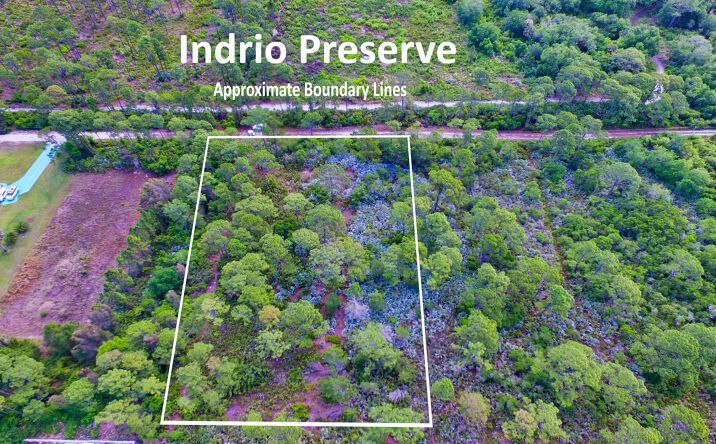 Pictures of Land property located at 00 Bald Cypress Trail, Fort Pierce, FL 34951 for sales - image #1
