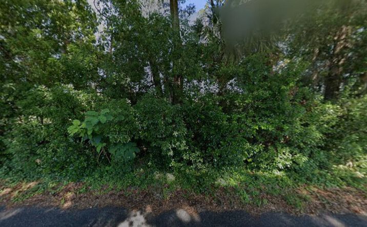 Pictures of Land property located at 1590 SE 55th Avenue, Ocala, FL 34480 for sales - image #1
