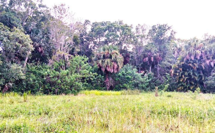 Pictures of Land property located at 0000 S Us-1, Fort Pierce, FL 34982 for sales - image #1