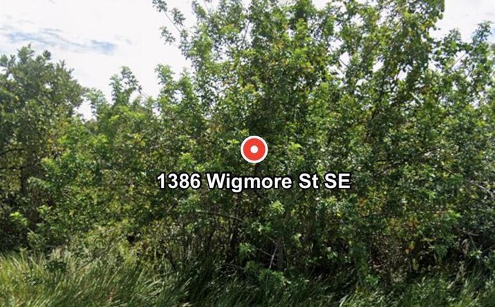 Pictures of Land property located at 1386 SE Wigmore St Street SE, Palm Bay, FL 32909 for sales - image #1