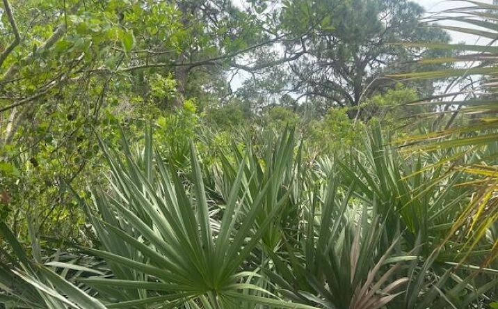 Pictures of Land, Special Purpose property located at 0 Turnpike Feeder Road, Fort Pierce, FL 34945 for sales - image #1