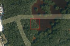 33584947