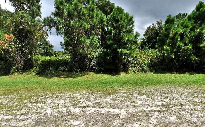 Pictures of Land property located at 3349 SW Port St Lucie Street, Port St. Lucie, FL 34953 for sales - image #1