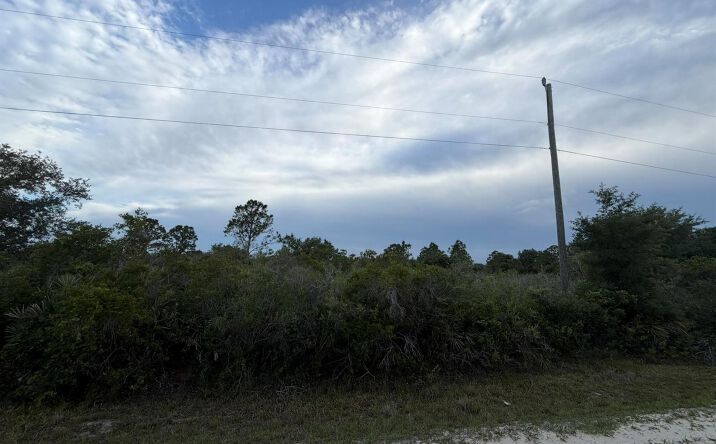 Pictures of Land property located at 15840 NW 298th Street, Okeechobee, FL 34972 for sales - image #1