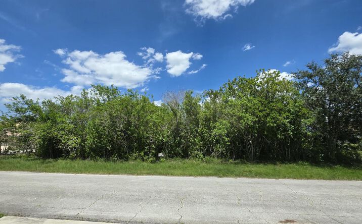 Pictures of Land property located at 3909 SW Leesburg Street, Port St. Lucie, FL 34953 for sales - image #1
